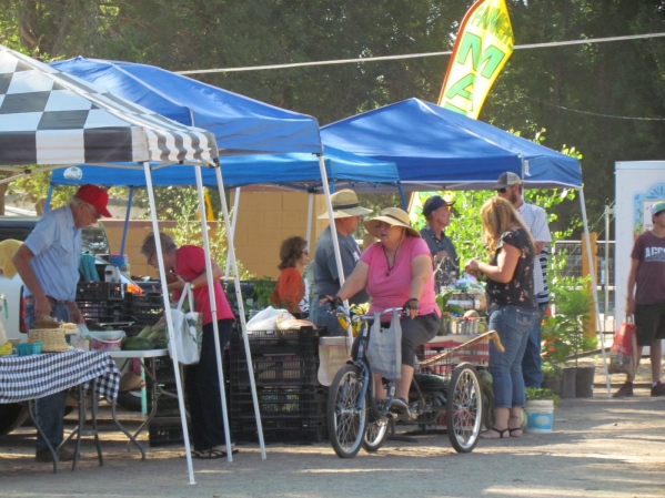 A New Mexico farmers' market with vendors, tents, and shoppers