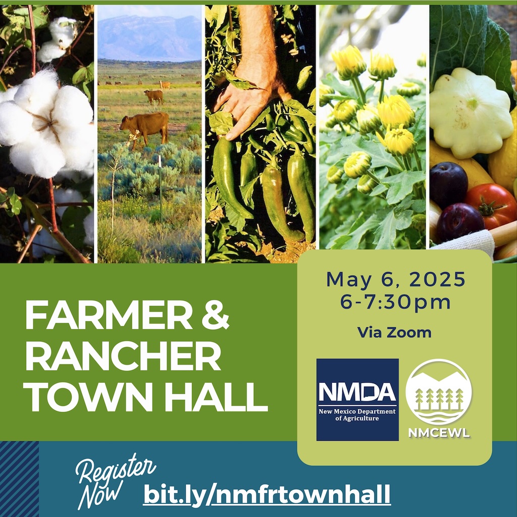 Flyer/Graphic for Virtual Town Hall on May 6, 2025