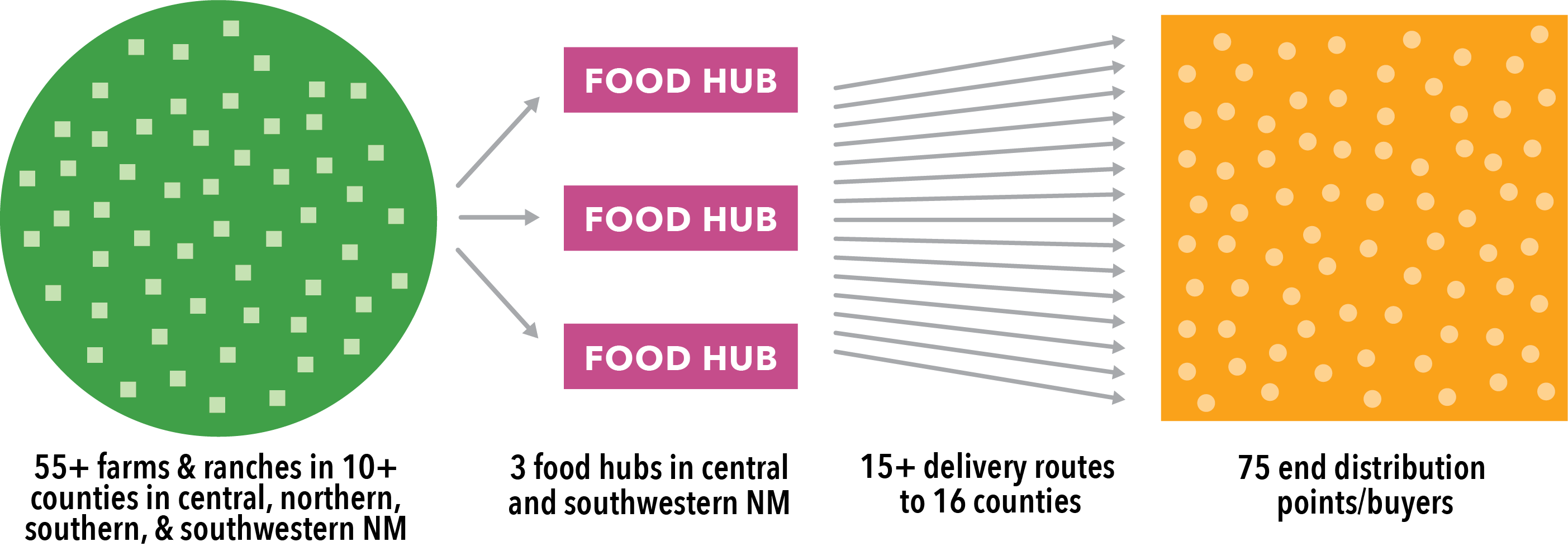 Infographic displaying how 55+ farms work with three central food hubs to reach 75 buyers in the state using 15 delivery routes over 16 counties